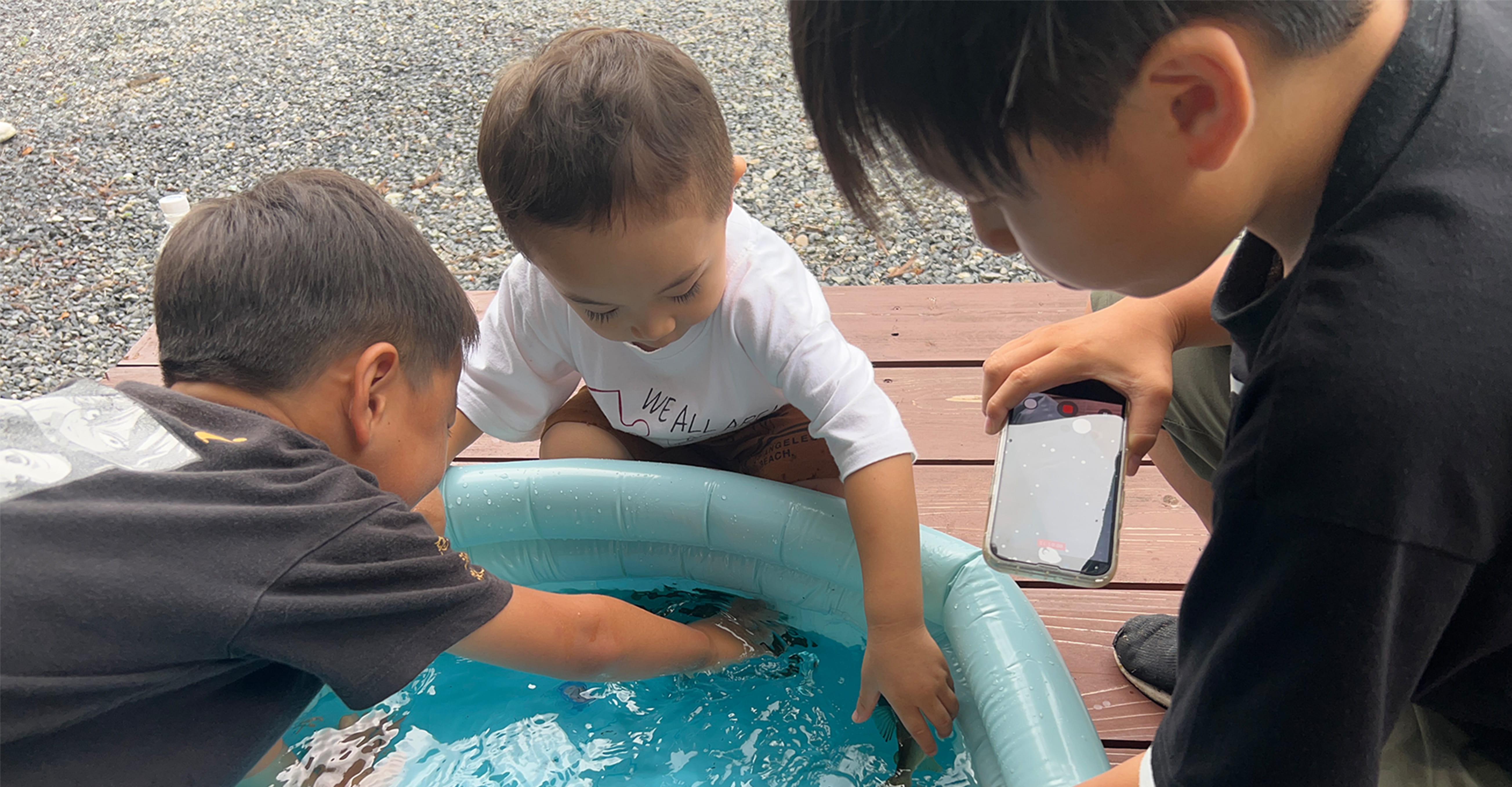 ビニールプールで魚をつかまえる子どもたち